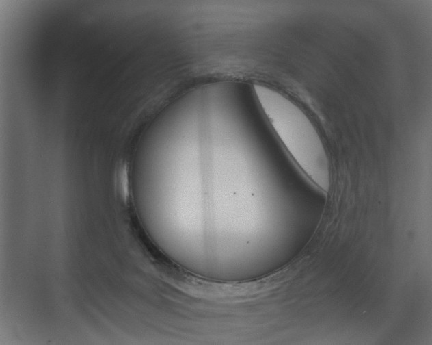 X0000073700027200608031026