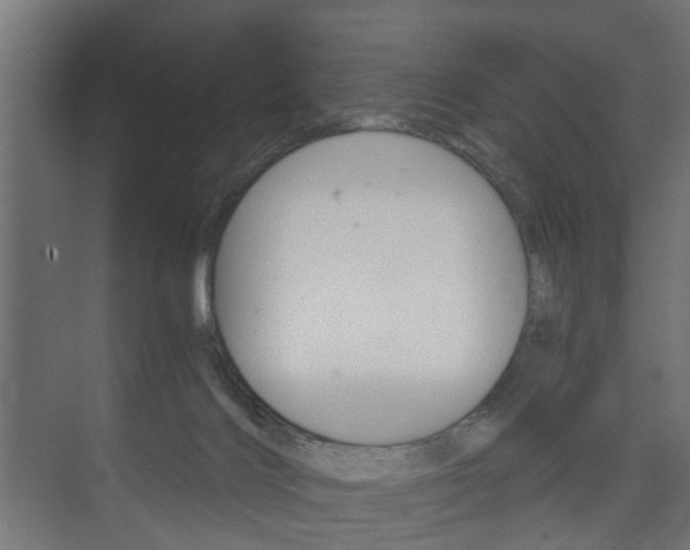 X0000073700028200608031026