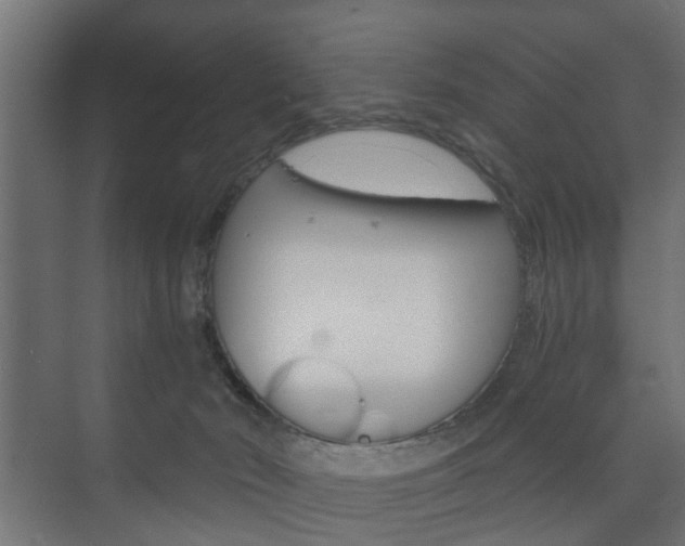 X0000073700030200608031026