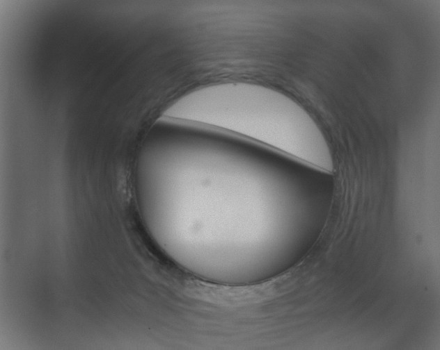 X0000073700031200608031026