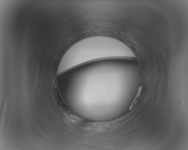 X0000073700033200608031026