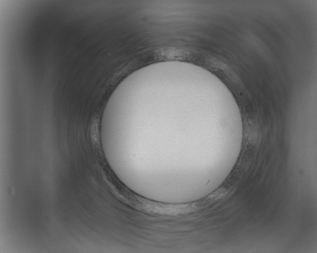 X0000073700036200608031026