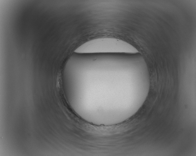 X0000073700038200608031026