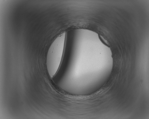 X0000073700040200608031026