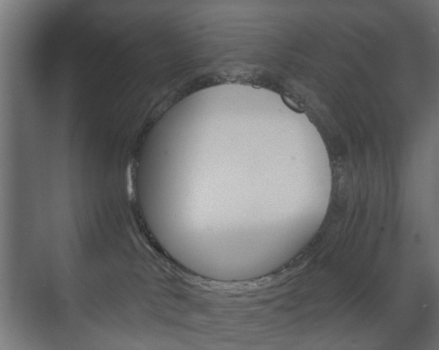 X0000073700042200608031026