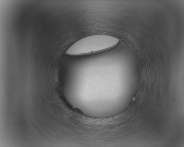 X0000073700043200608031026