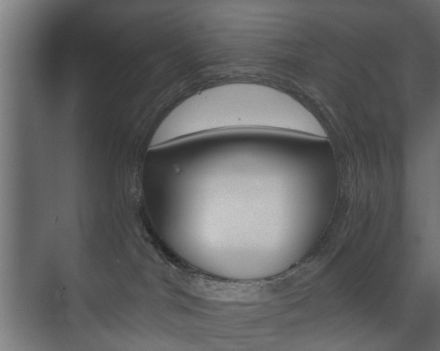 X0000073700044200608031026