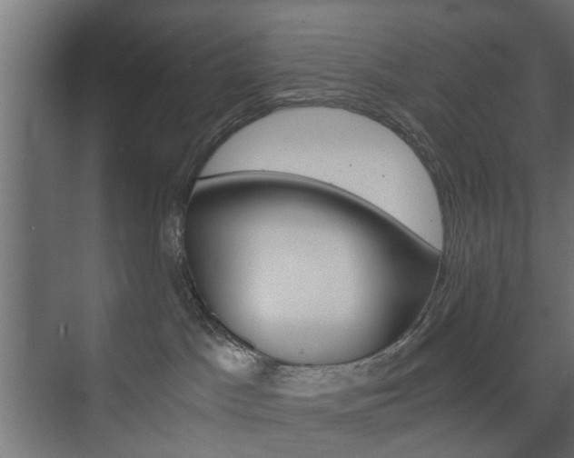 X0000073700045200608031026