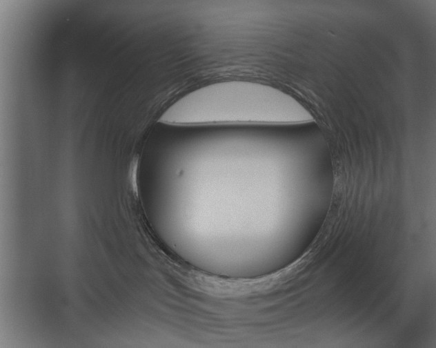 X0000073700047200608031026