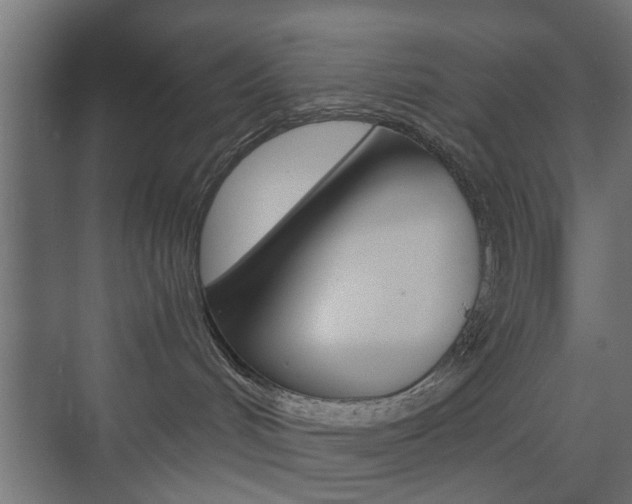 X0000073700048200608031026