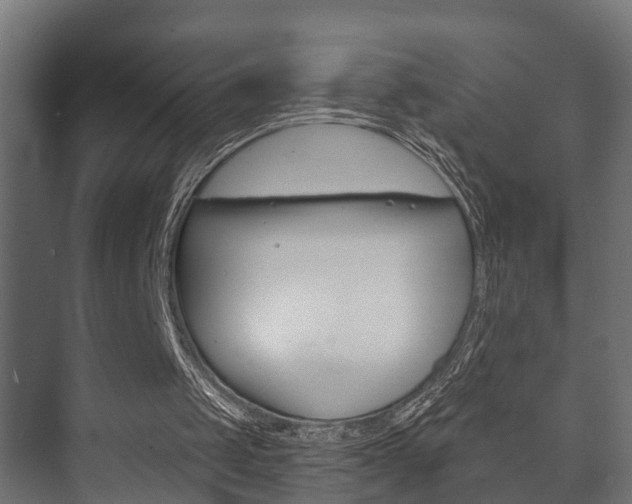 X0000073700049200608031025