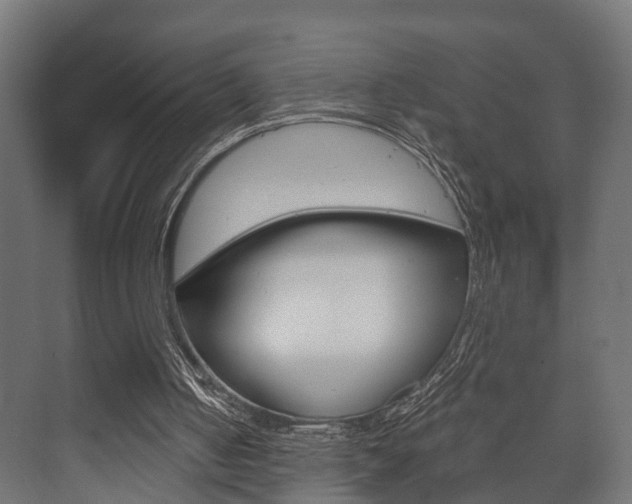 X0000073700050200608031025