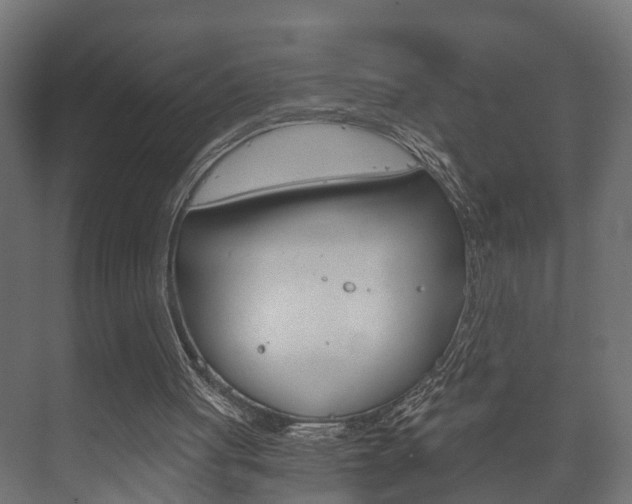 X0000073700051200608031025