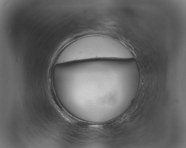 X0000073700053200608031025