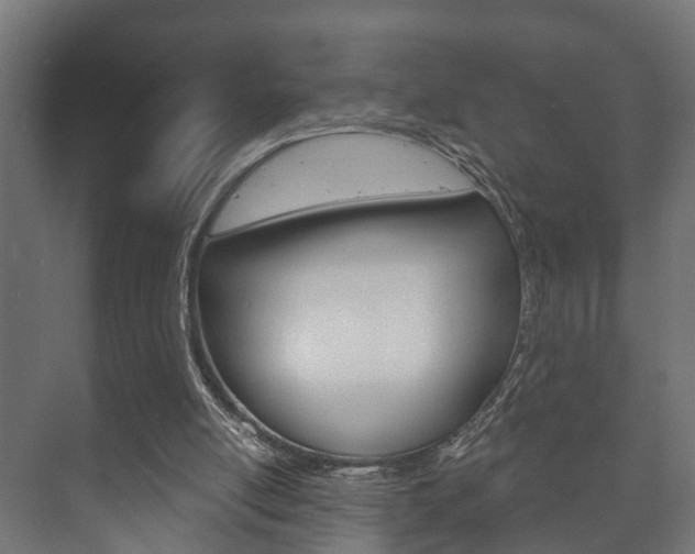 X0000073700054200608031025