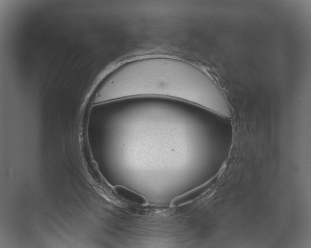 X0000073700056200608031025