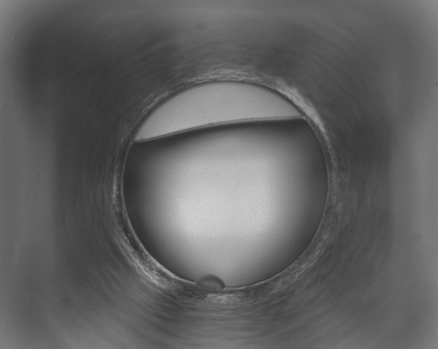 X0000073700057200608031025