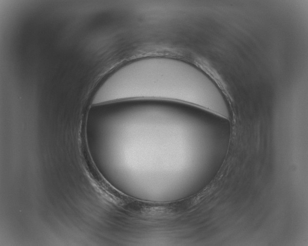 X0000073700058200608031025