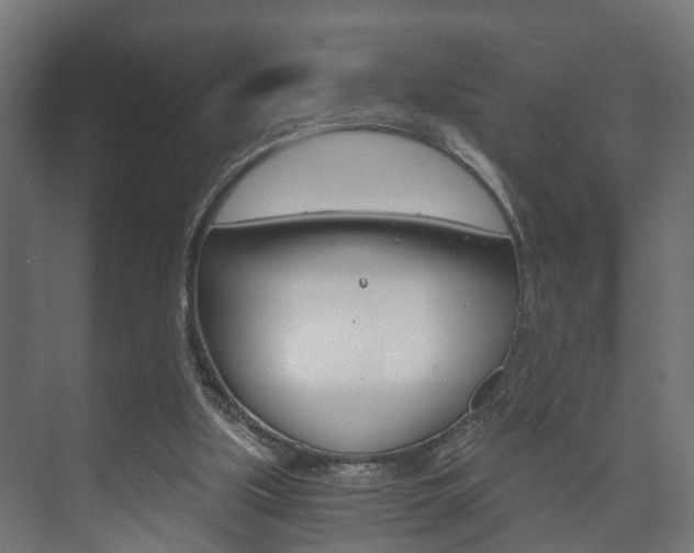 X0000073700059200608031025