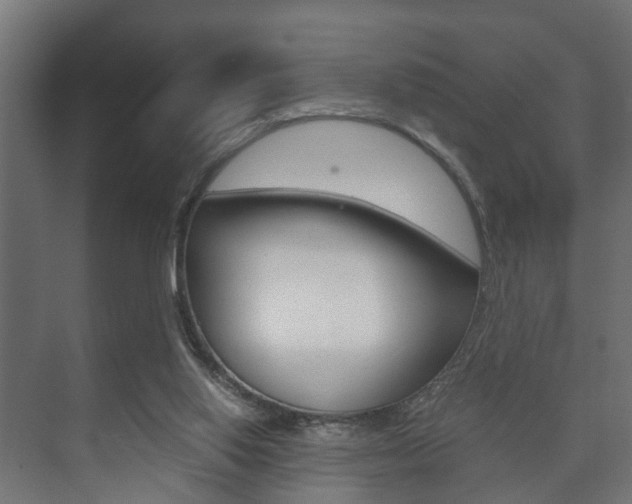 X0000073700062200608031025