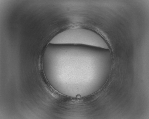 X0000073700065200608031025