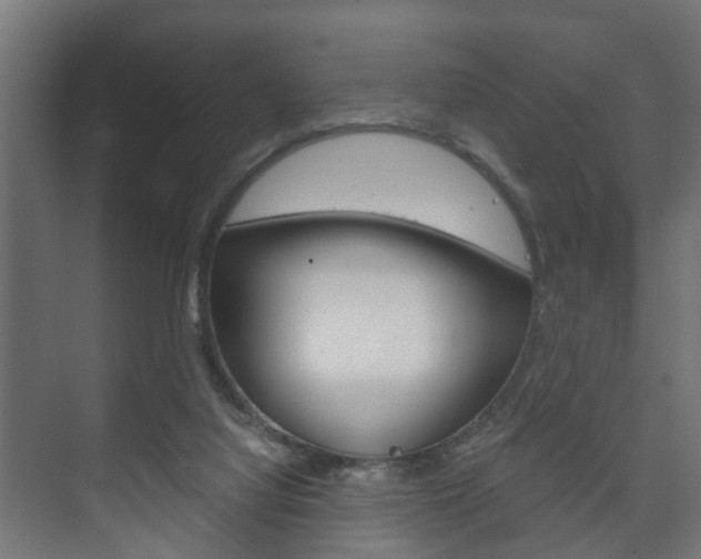 X0000073700068200608031025