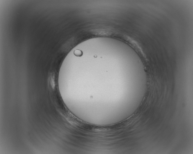 X0000073700069200608031025