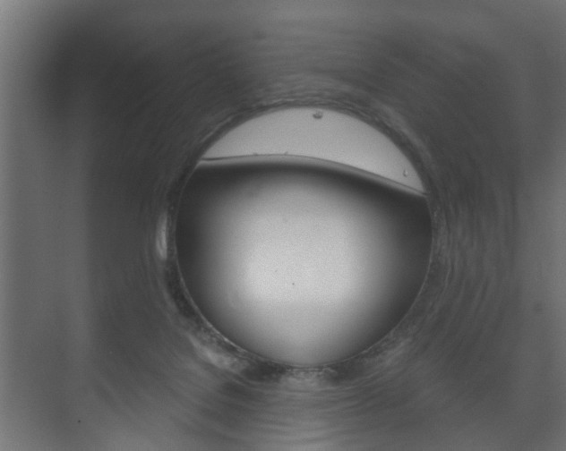 X0000073700076200608031025