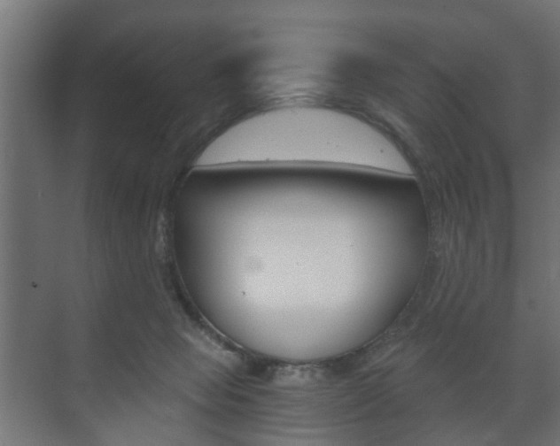 X0000073700077200608031025