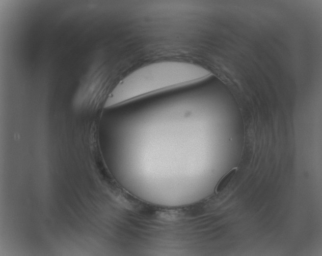 X0000073700079200608031025