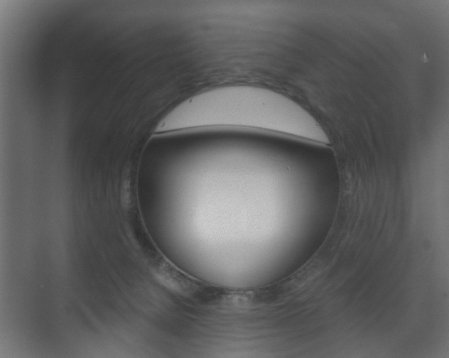 X0000073700080200608031025