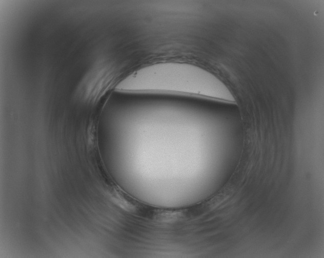 X0000073700081200608031025