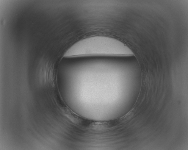 X0000073700082200608031025