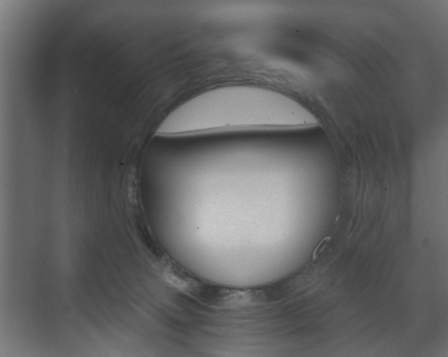 X0000073700083200608031025