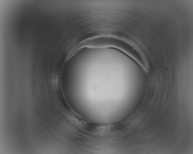 X0000073700084200608031025