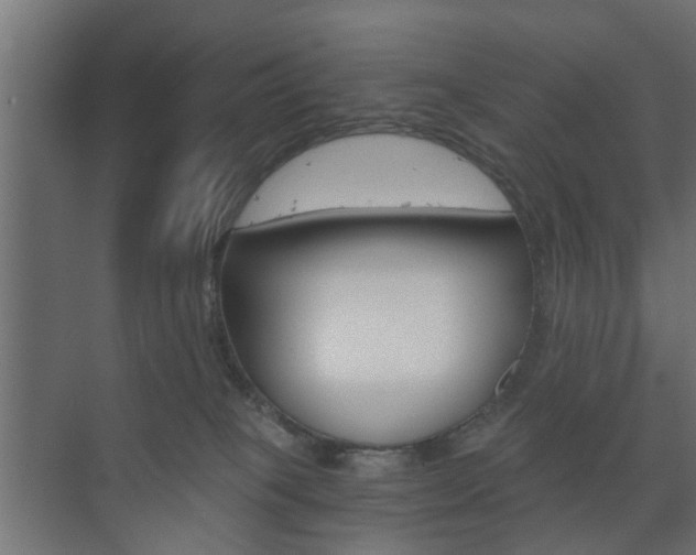 X0000073700085200608031025