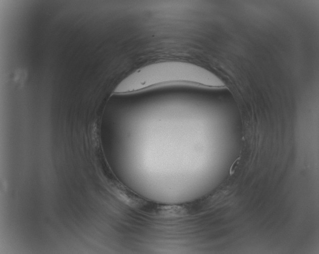 X0000073700087200608031026