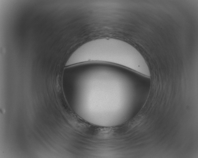 X0000073700088200608031026