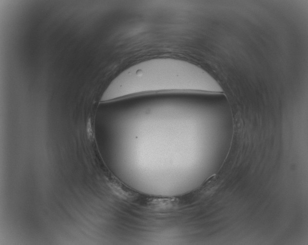 X0000073700089200608031026