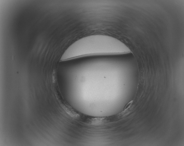 X0000073700090200608031026