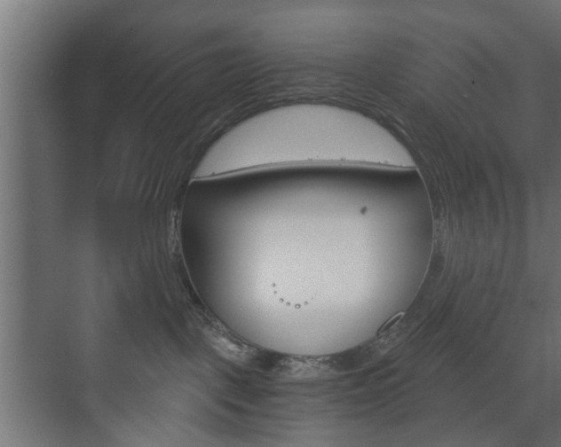 X0000073700093200608031026