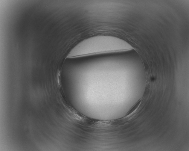 X0000073700094200608031026