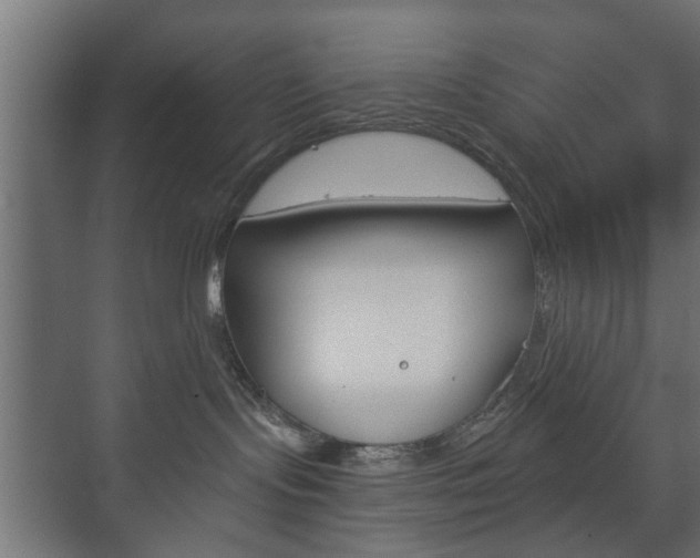 X0000073700095200608031026