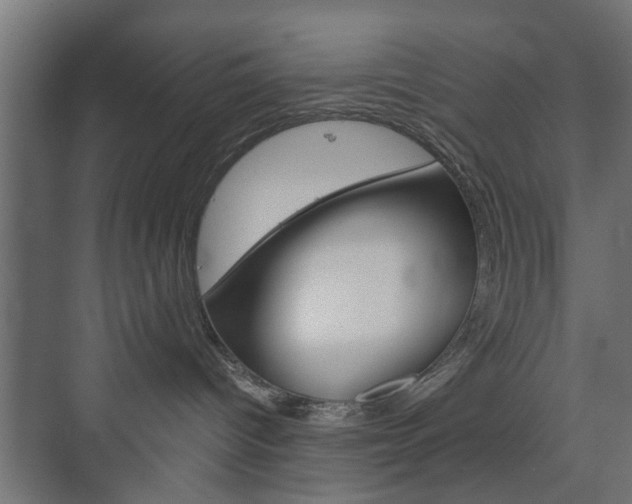 X0000073700096200608031026