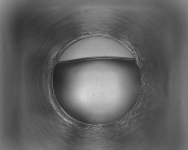 X0000073700097200608031025