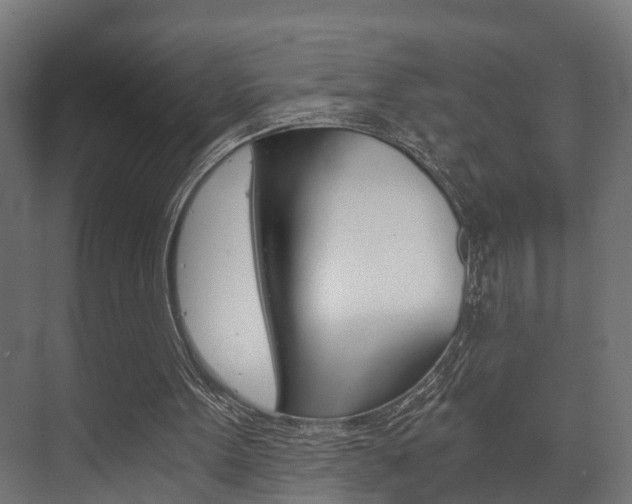 X0000073700099200608031025