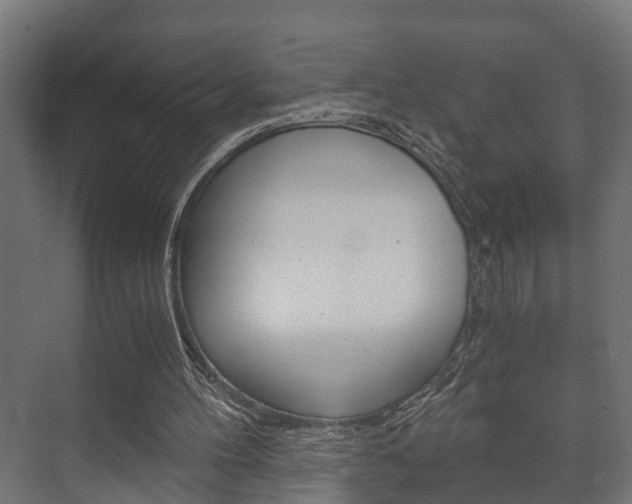 X0000073700100200608031025