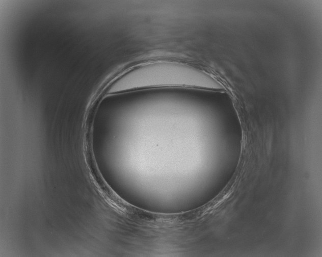 X0000073700101200608031025