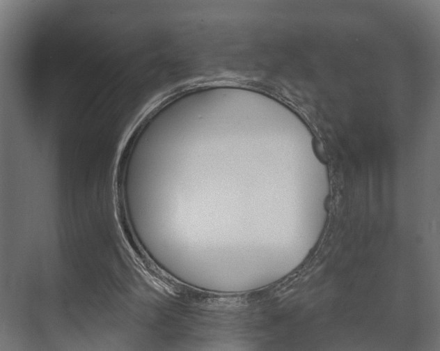 X0000073700102200608031025