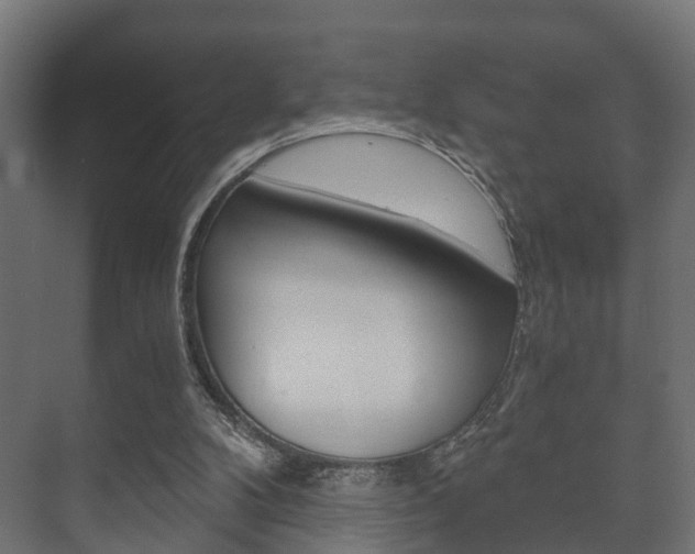 X0000073700104200608031025